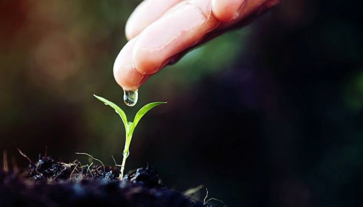 Charla este martes sobre agricultura sustentable en el Campus