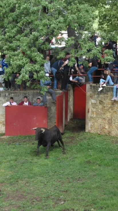 Desencajonamiento 2018.