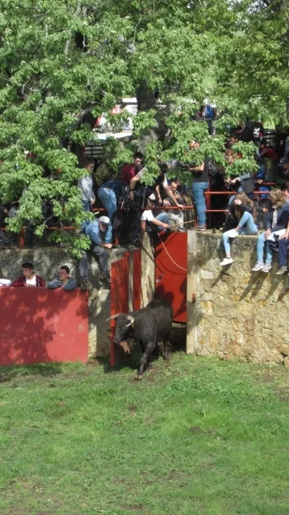 Desencajonamiento 2018.
