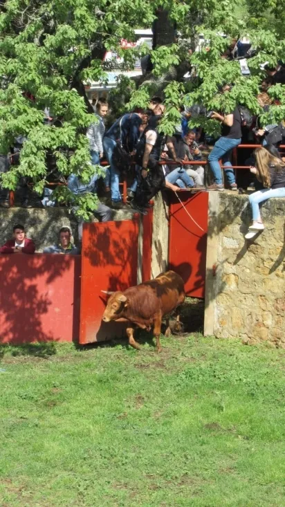 Desencajonamiento 2018.