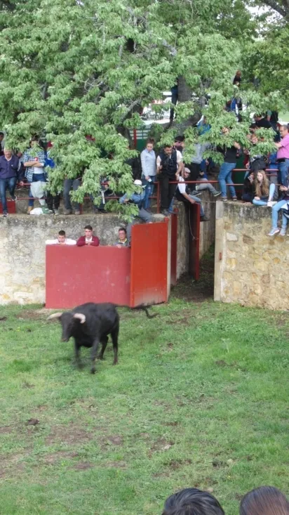 Desencajonamiento 2018.