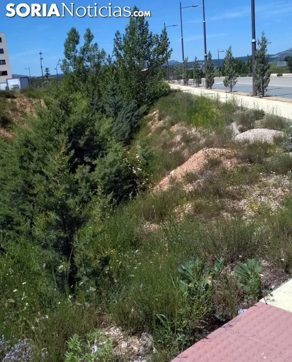 Una imagen de este sector de la ciudad. /SN