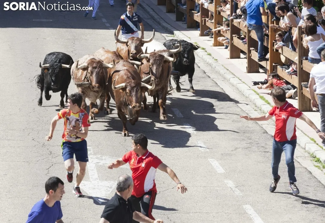 Encierro / María Ferrer