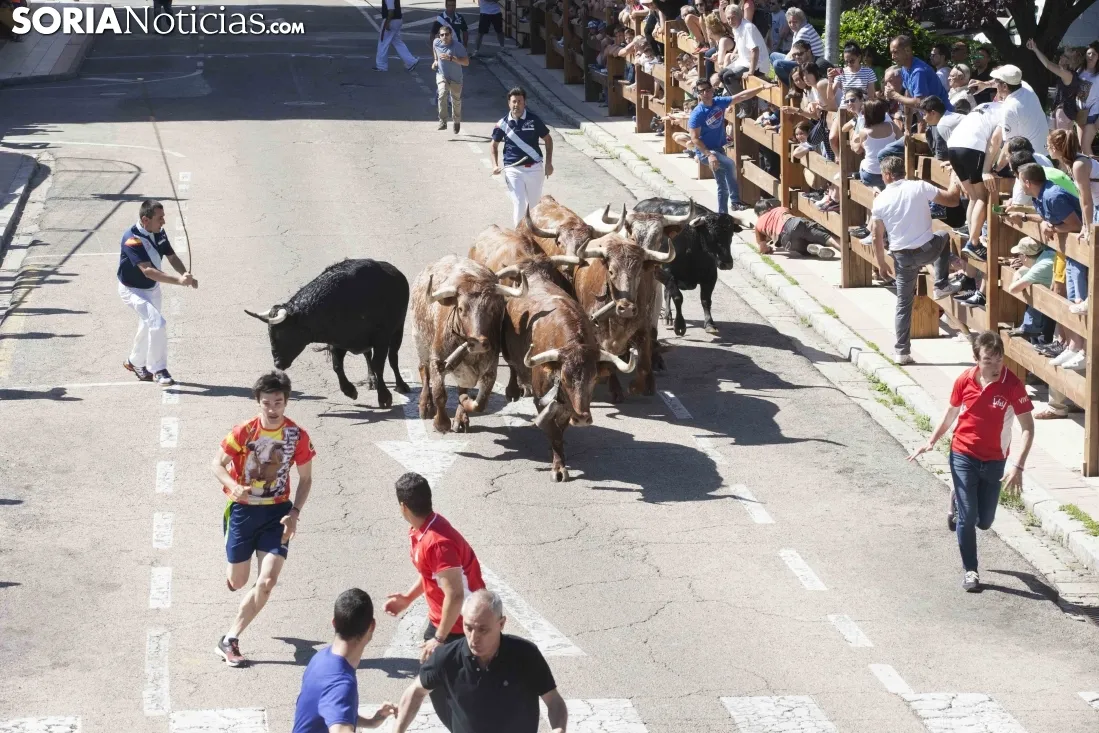 Encierro / María Ferrer