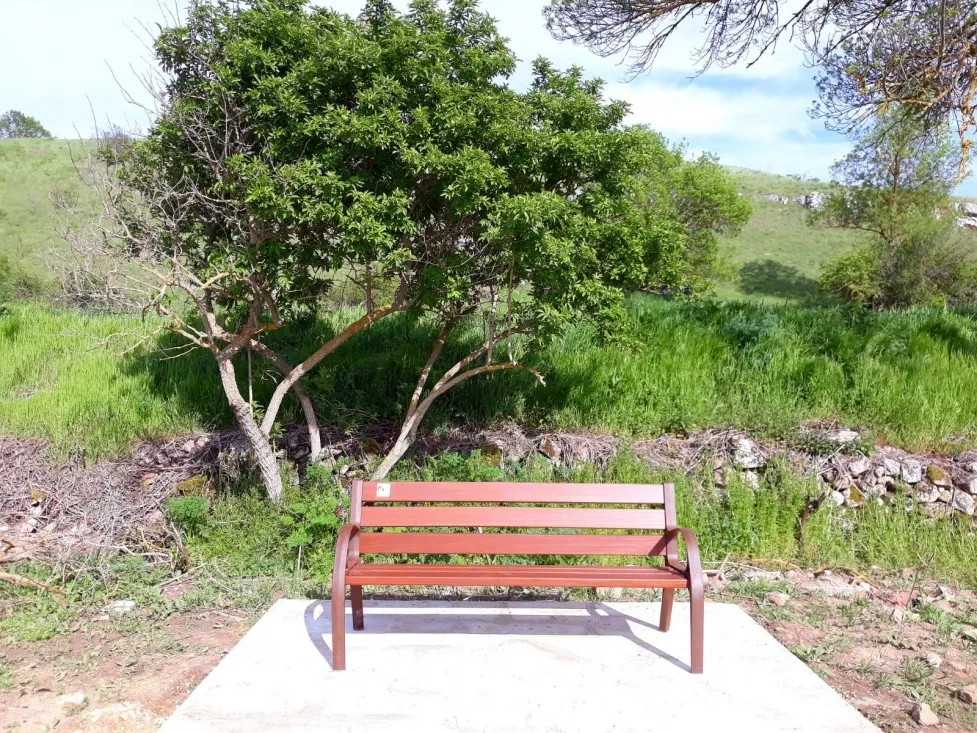 Foto 2 - Las labores de un grupo de voluntarios mejoran entornos de Hinojosa de la Sierra