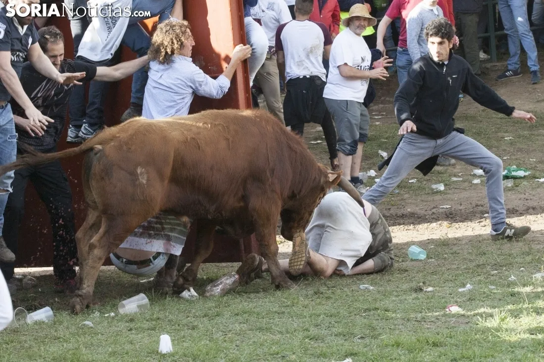 Lavalenguas 2018