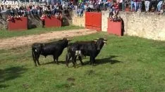Desencajonamiento 2018.