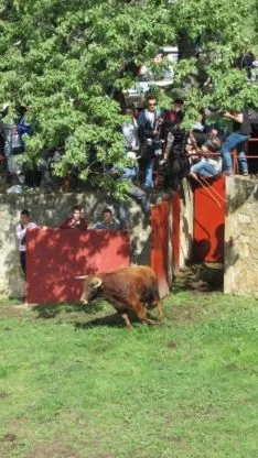 Desencajonamiento 2018.