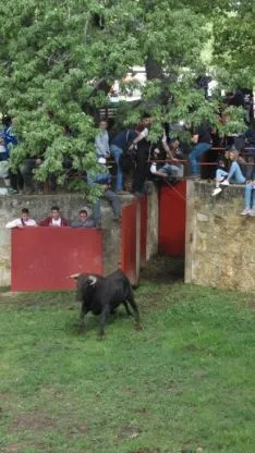 Desencajonamiento 2018.
