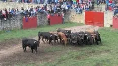 Desencajonamiento 2018.