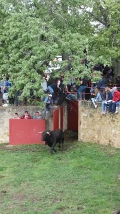 Desencajonamiento 2018.