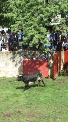 Desencajonamiento 2018.
