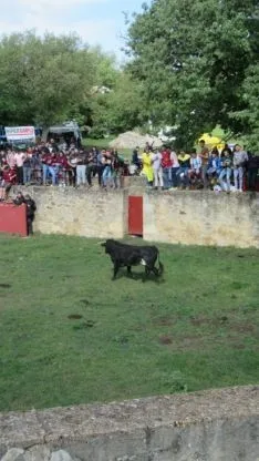 Desencajonamiento 2018.
