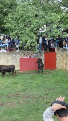 Desencajonamiento 2018.