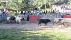 Una imagen de esta mañana en Valonsadero. /Alfredo García