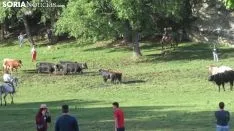 Una imagen de esta mañana en Valonsadero. /Alfredo García