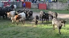 Una imagen de esta mañana en Valonsadero. /Alfredo García