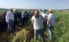 Una imagen de la jornada. 