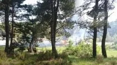 Miembros de la Brif en un espacio arbolado próximo al fuego. 