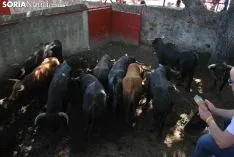Una imagen de La Compra. /SN