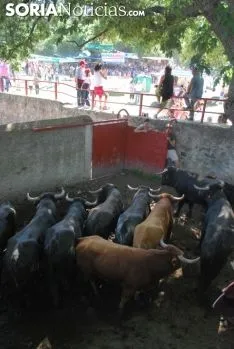 Una imagen de La Compra. /SN
