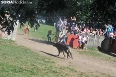 Una imagen de La Compra. /SN