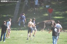 Una imagen de la Compra. /SN