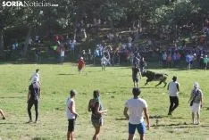 Una imagen de la Compra. /SN