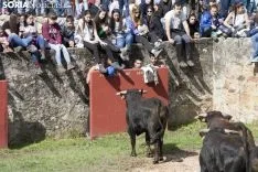 Desencajonamiento 2018 / María Ferrer