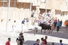 Encierro / María Ferrer