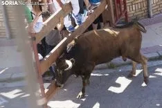 Encierro / María Ferrer