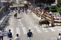 Encierro / María Ferrer