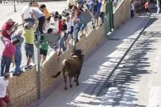 Encierro / María Ferrer