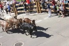 Encierro / María Ferrer