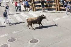 Encierro / María Ferrer
