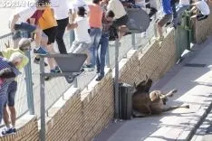 Encierro / María Ferrer