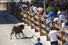 Encierro / María Ferrer