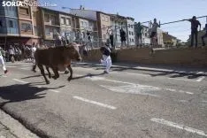Encierro / María Ferrer
