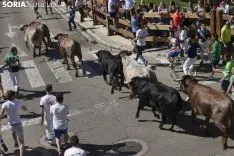 Encierro / María Ferrer