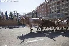 Encierro / María Ferrer