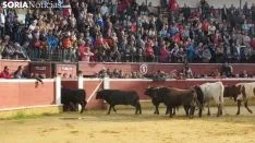 Llegada de los novillos a la plaza de toros de Soria 