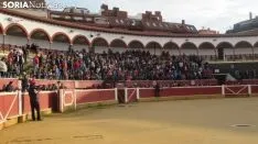 Llegada de los novillos a la plaza de toros de Soria 
