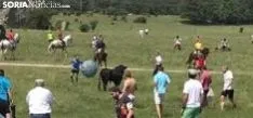Festejo de La Saca 2018