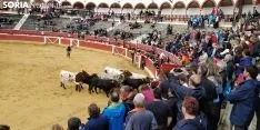 Llegada de los novillos a la plaza de toros de Soria 