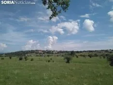 La pradera de Valonsadero. SN