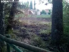 Una imagen del lugar del fuego. /SN