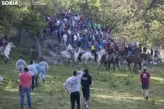 Comprilla / María Ferrer