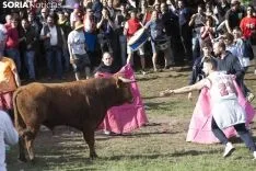 Lavalenguas 2018 / María Ferrer