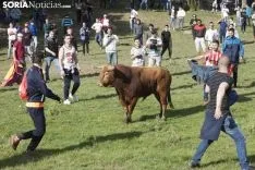 Lavalenguas 2018 / María Ferrer