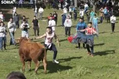 Lavalenguas 2018 / María Ferrer